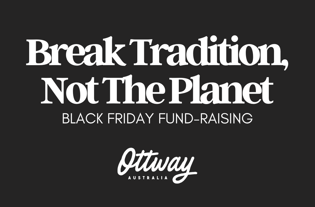 Donation Black Friday Fund-Raising